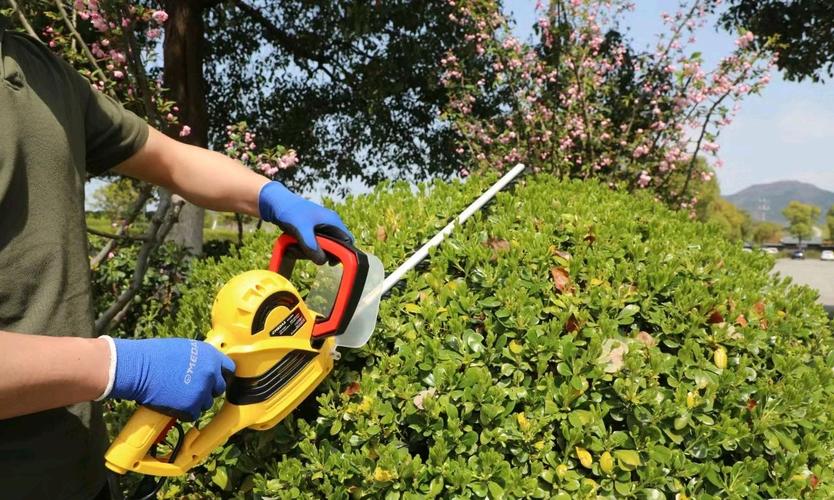 園林花卉與百腦匯兼職生態 5小時全職在線接單客服VS風景園林的行業真相